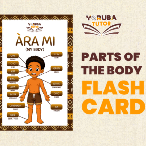 Parts Of The Body Flash Card