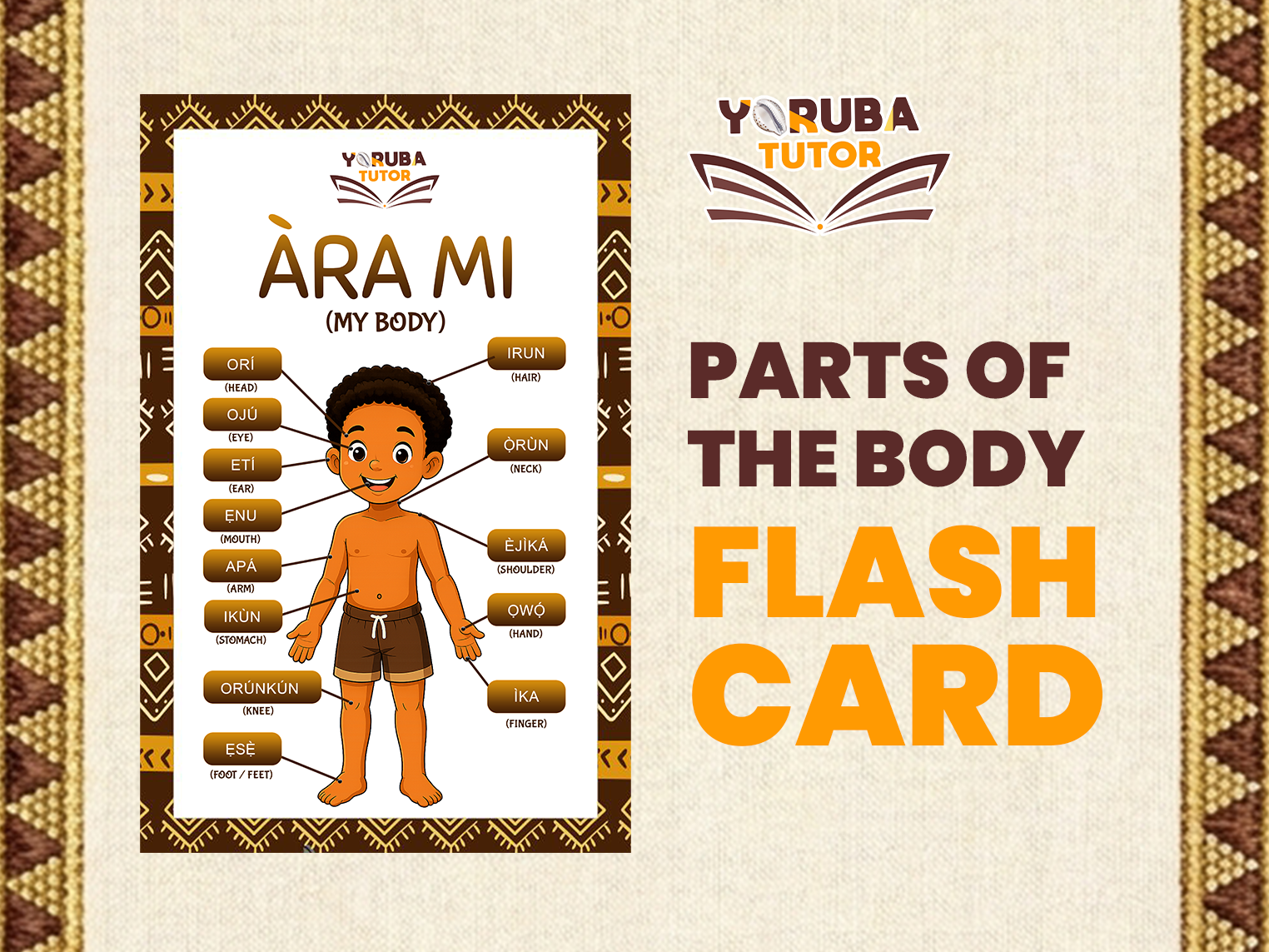 Parts Of The Body Flash Card